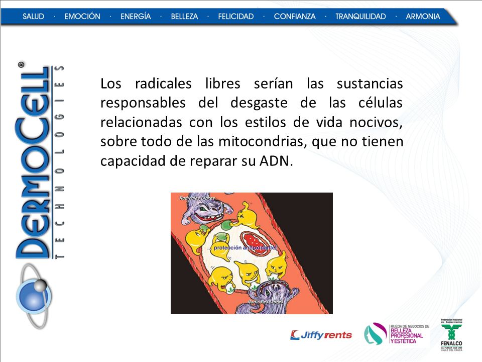 Los radicales libres serían las sustancias responsables del desgaste de las células relacionadas con los estilos de vida nocivos, sobre todo de las mitocondrias, que no tienen capacidad de reparar su ADN.