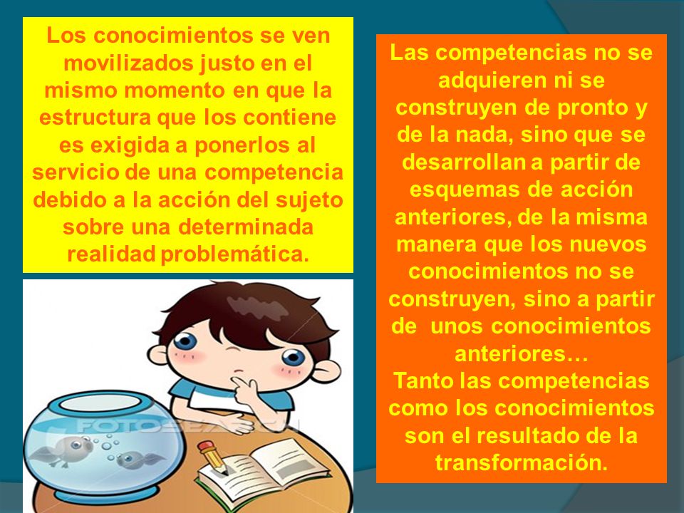 Los conocimientos se ven movilizados justo en el mismo momento en que la estructura que los contiene es exigida a ponerlos al servicio de una competencia debido a la acción del sujeto sobre una determinada realidad problemática.