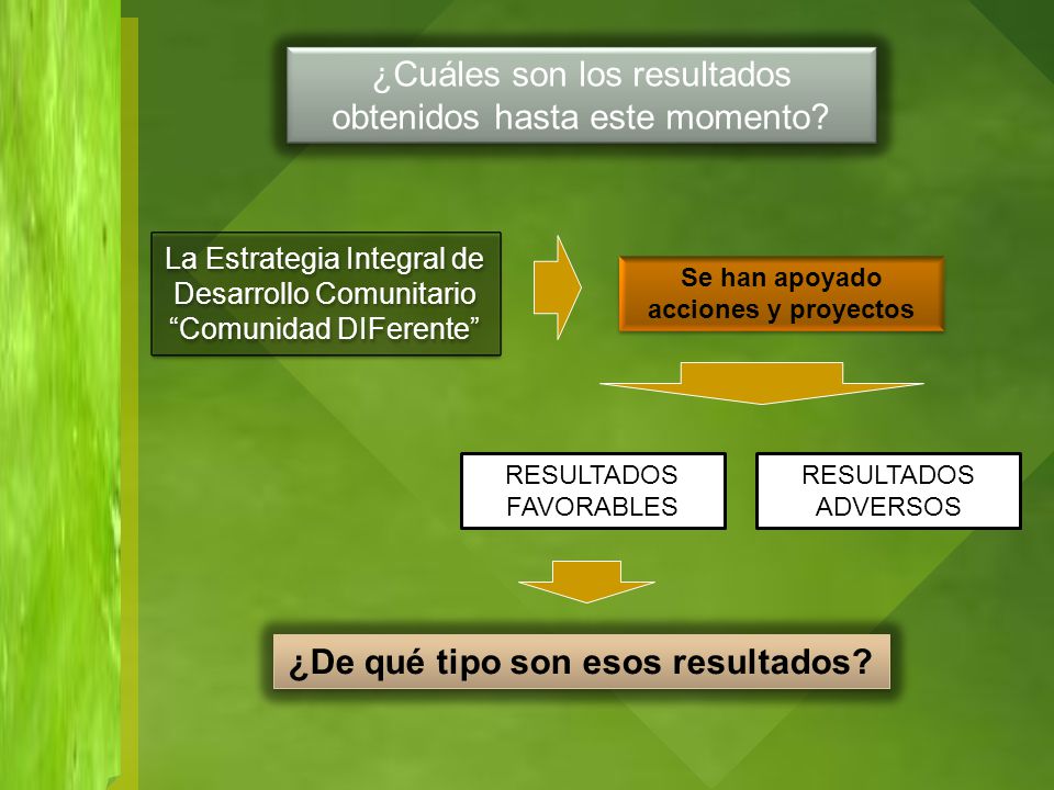 Se han apoyado acciones y proyectos ¿De qué tipo son esos resultados