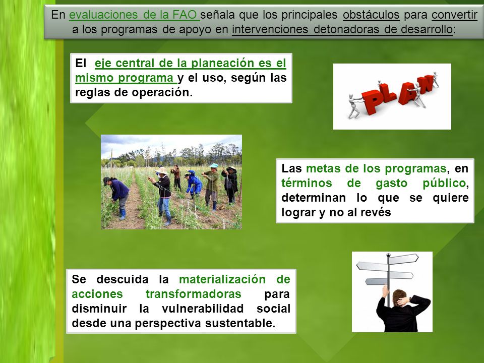 En evaluaciones de la FAO señala que los principales obstáculos para convertir a los programas de apoyo en intervenciones detonadoras de desarrollo: