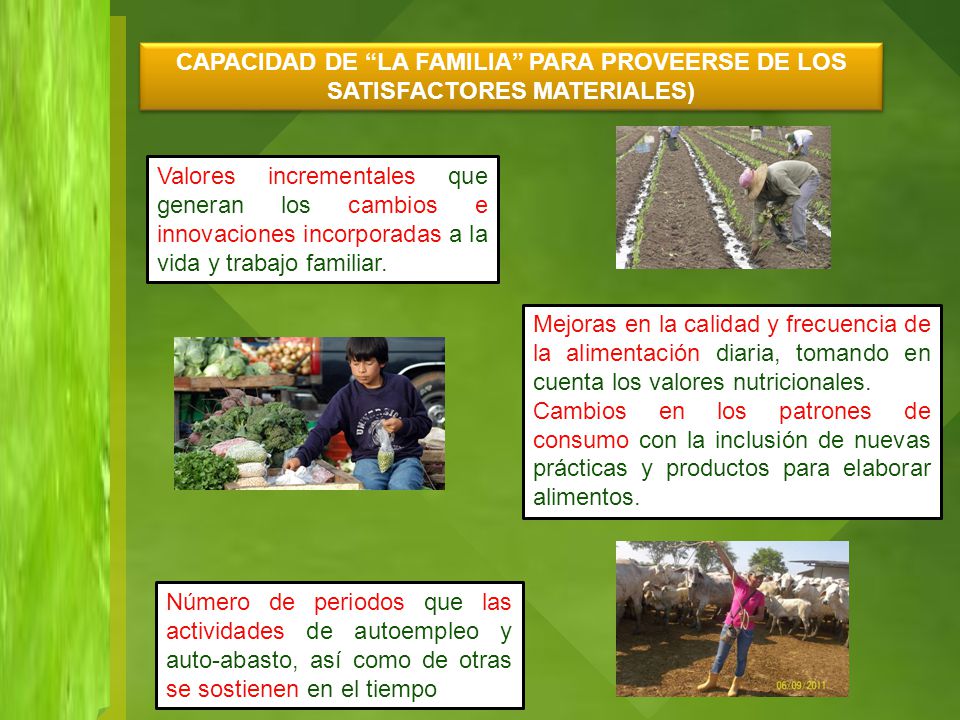 CAPACIDAD DE LA FAMILIA PARA PROVEERSE DE LOS SATISFACTORES MATERIALES)
