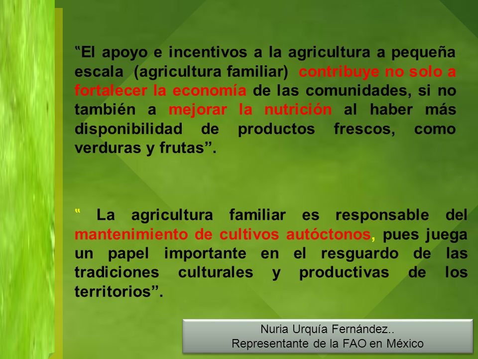 ‟El apoyo e incentivos a la agricultura a pequeña escala (agricultura familiar) contribuye no solo a fortalecer la economía de las comunidades, si no también a mejorar la nutrición al haber más disponibilidad de productos frescos, como verduras y frutas .