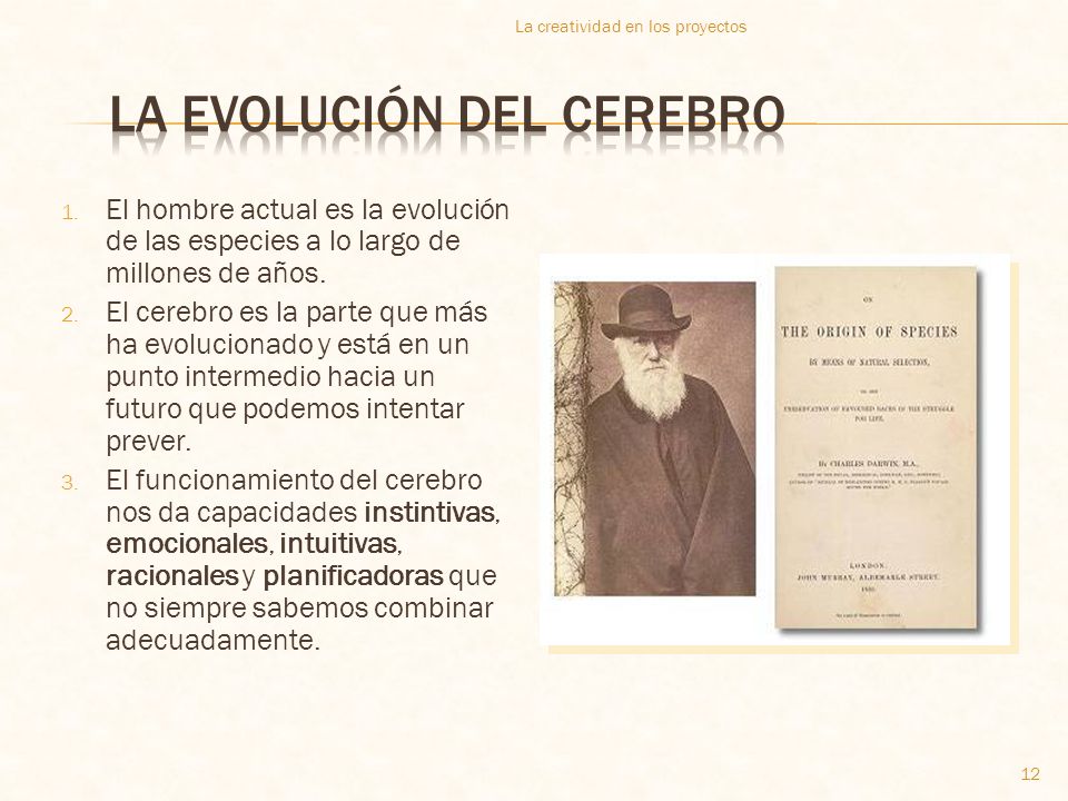 La evolución del cerebro