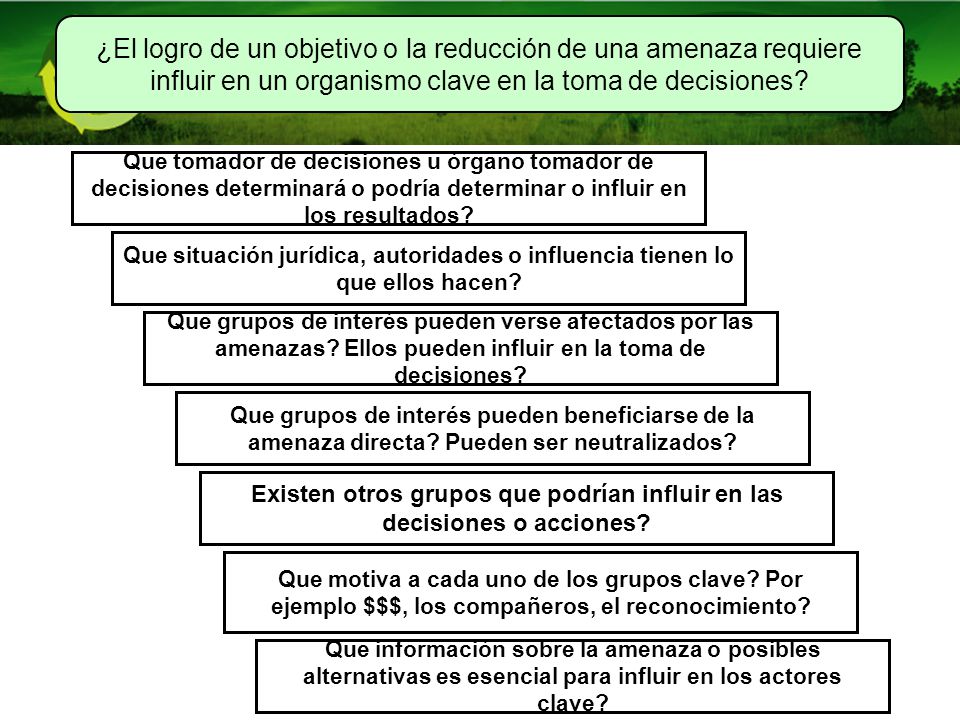 Existen otros grupos que podrían influir en las decisiones o acciones