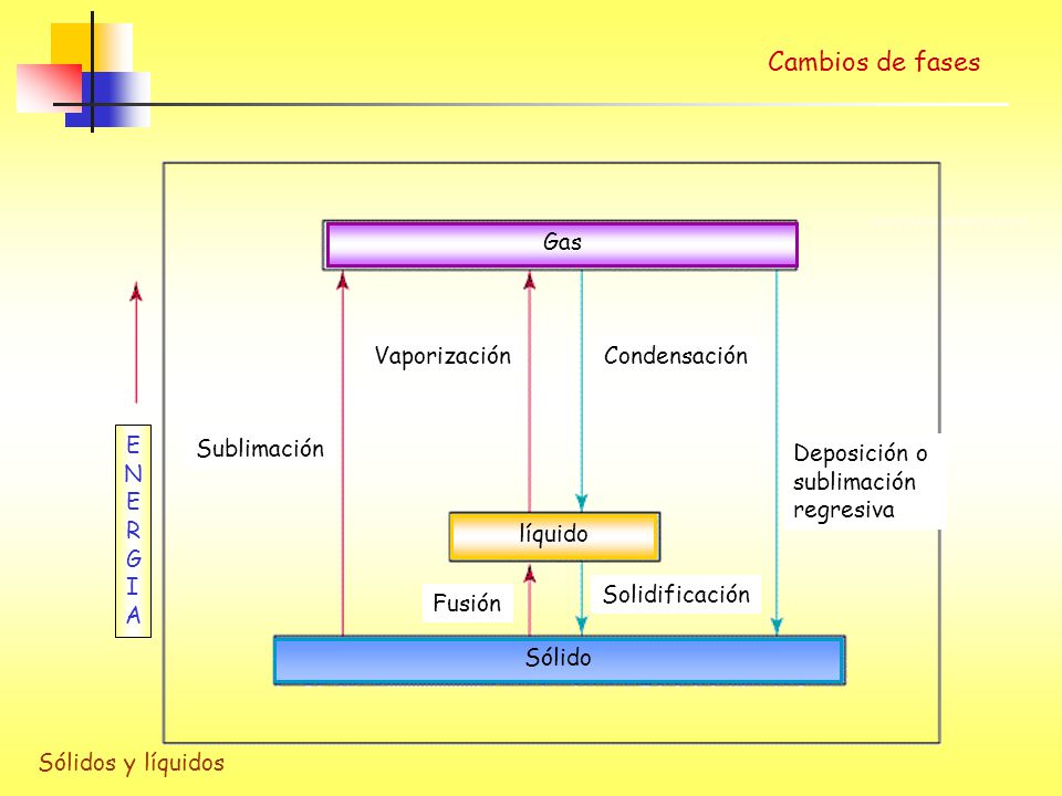 Cambios de fases Solidificación Fusión Condensación Vaporización