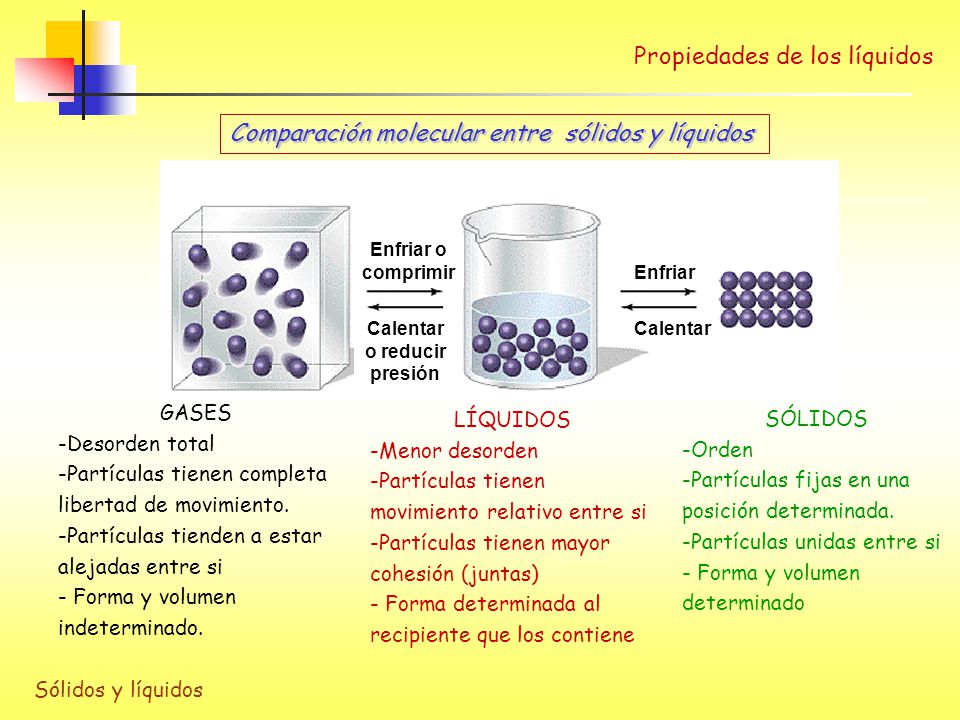 Líquidos y Sólidos » Propiedades de los líquidos · Viscosidad - ppt  descargar