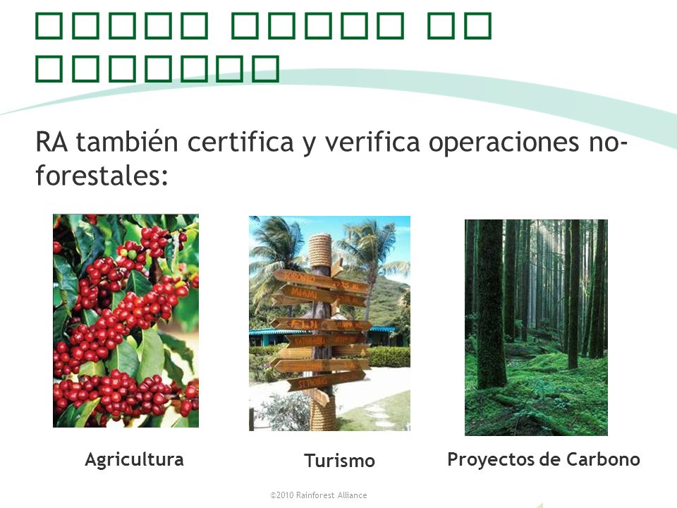 Otras areas de trabajo RA también certifica y verifica operaciones no- forestales: En términos sencillos: