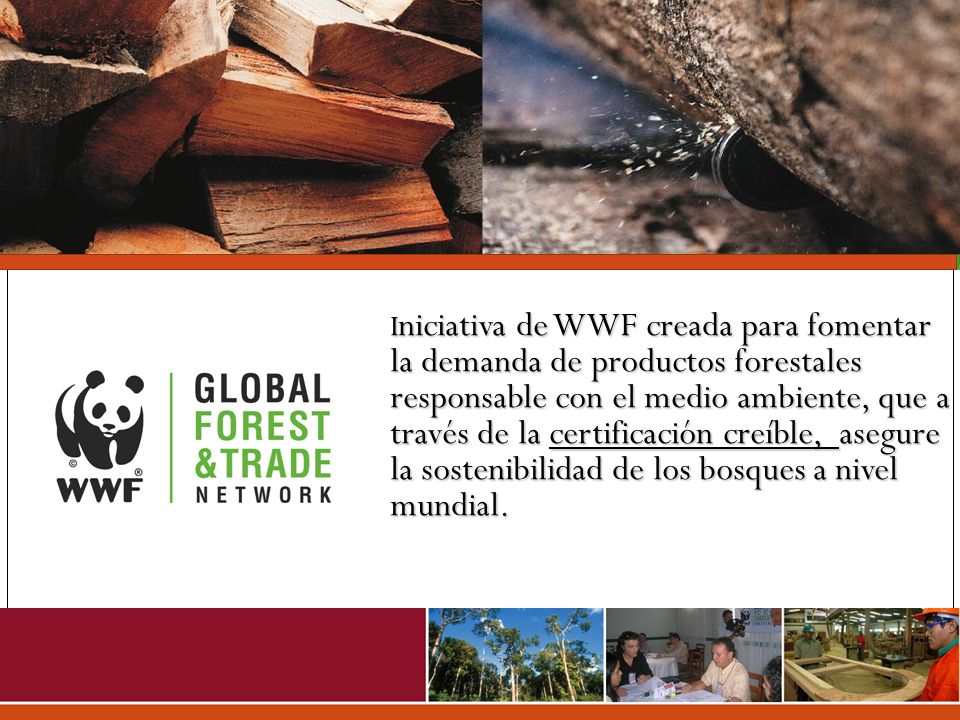 Iniciativa de WWF creada para fomentar la demanda de productos forestales responsable con el medio ambiente, que a través de la certificación creíble, asegure la sostenibilidad de los bosques a nivel mundial.