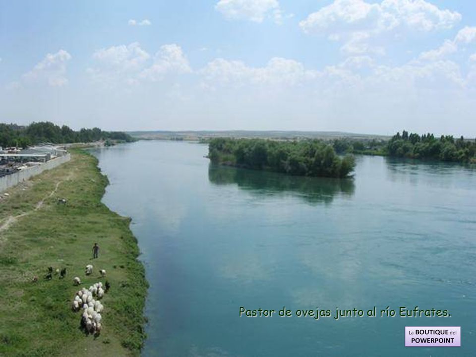 נהר חידקל Pastor de ovejas junto al río Eufrates.