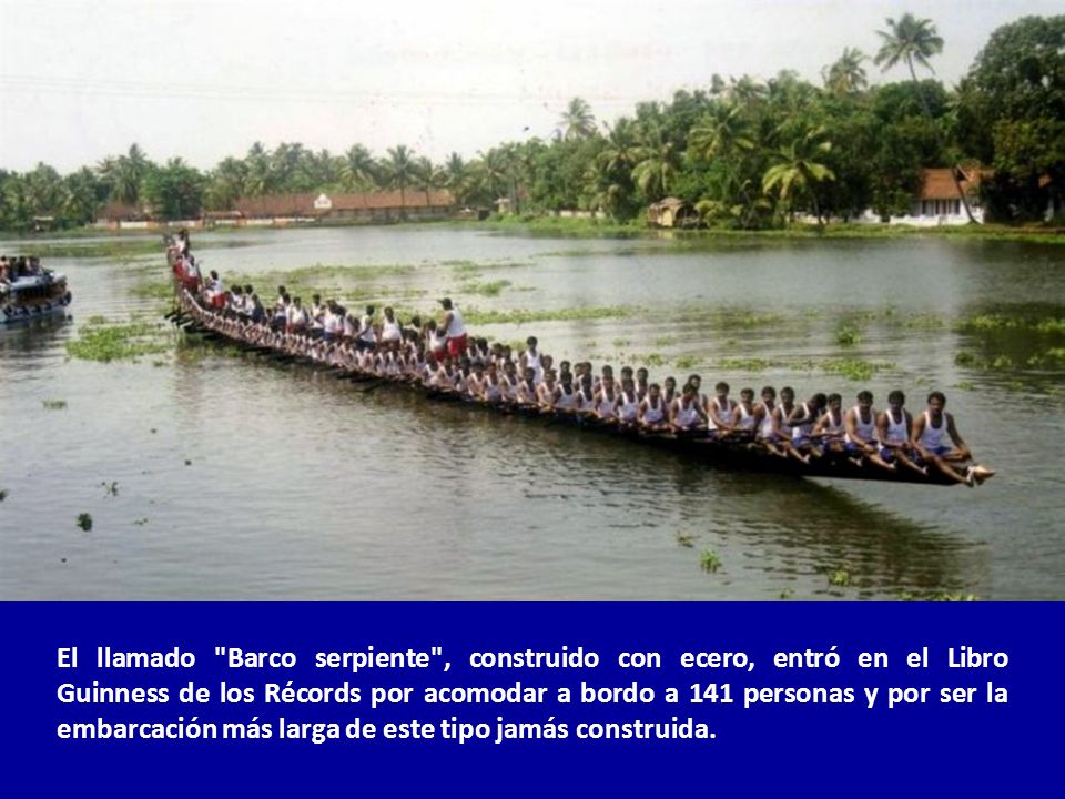 El llamado Barco serpiente , construido con ecero, entró en el Libro Guinness de los Récords por acomodar a bordo a 141 personas y por ser la embarcación más larga de este tipo jamás construida.
