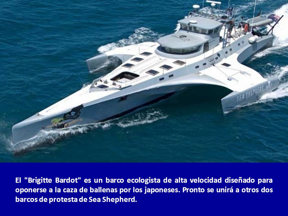 El Brigitte Bardot es un barco ecologista de alta velocidad diseñado para oponerse a la caza de ballenas por los japoneses.