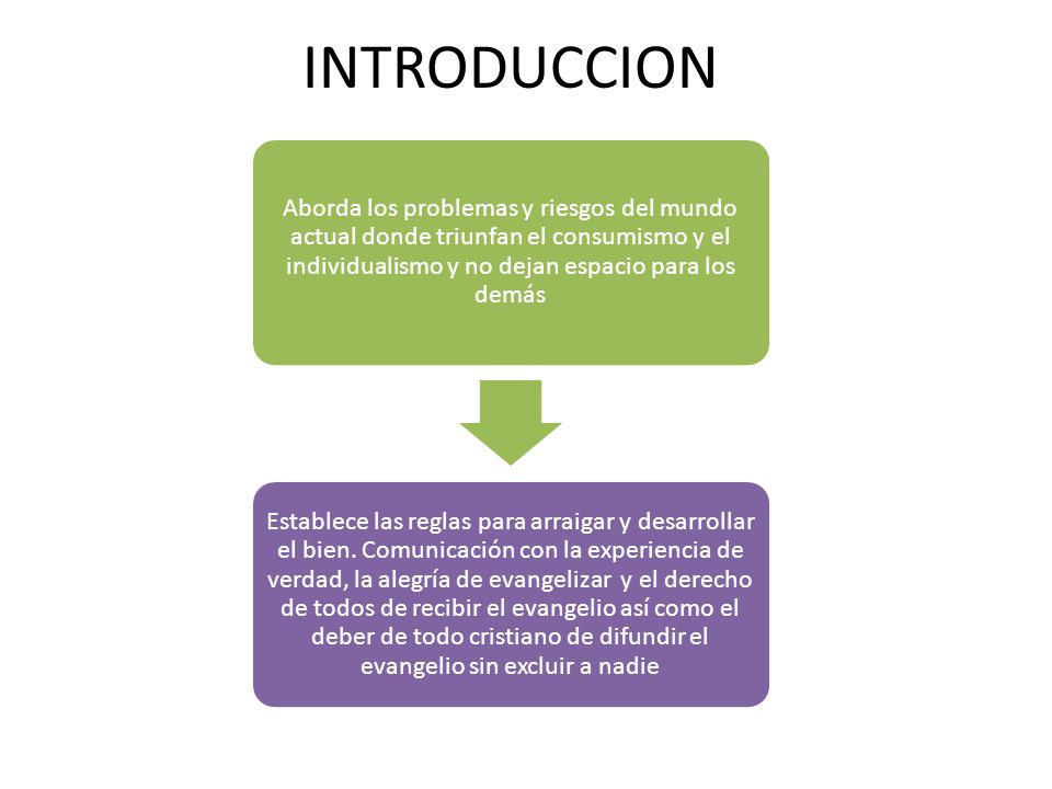 INTRODUCCION Aborda los problemas y riesgos del mundo actual donde triunfan el consumismo y el individualismo y no dejan espacio para los demás.