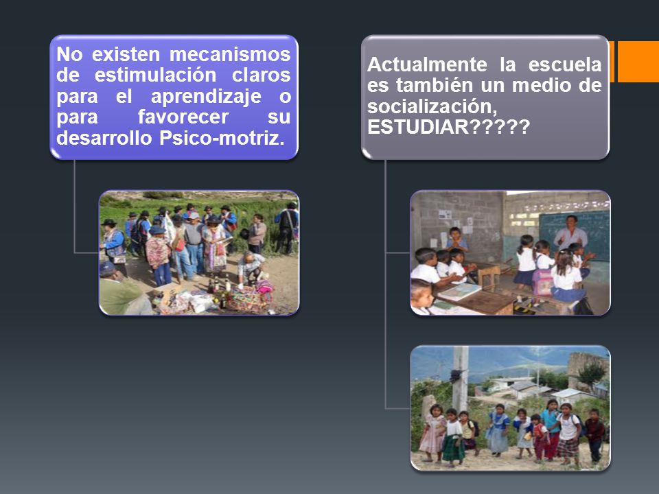 No existen mecanismos de estimulación claros para el aprendizaje o para favorecer su desarrollo Psico-motriz.