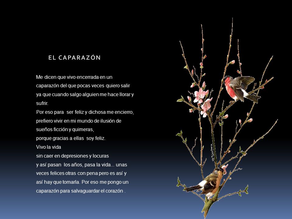 EL CAPARAZÓN Me dicen que vivo encerrada en un caparazón del que pocas veces quiero salir. ya que cuando salgo alguien me hace llorar y sufrir.