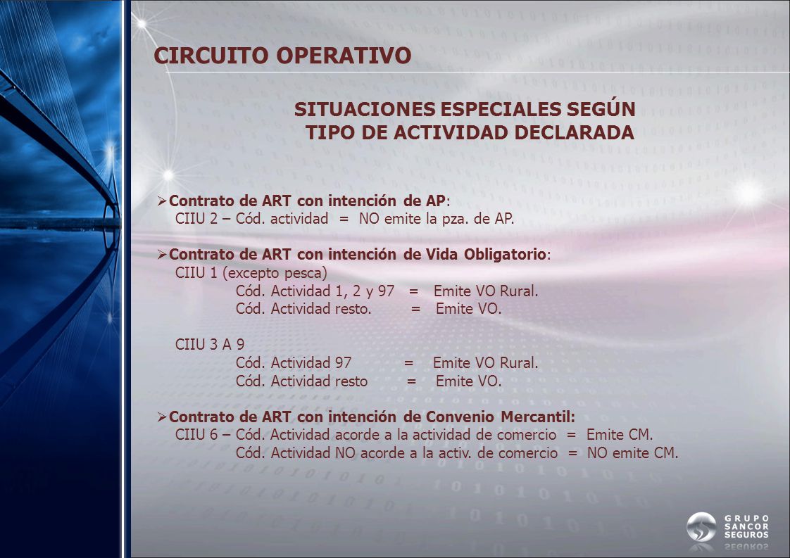 CIRCUITO OPERATIVO TIPO DE ACTIVIDAD DECLARADA