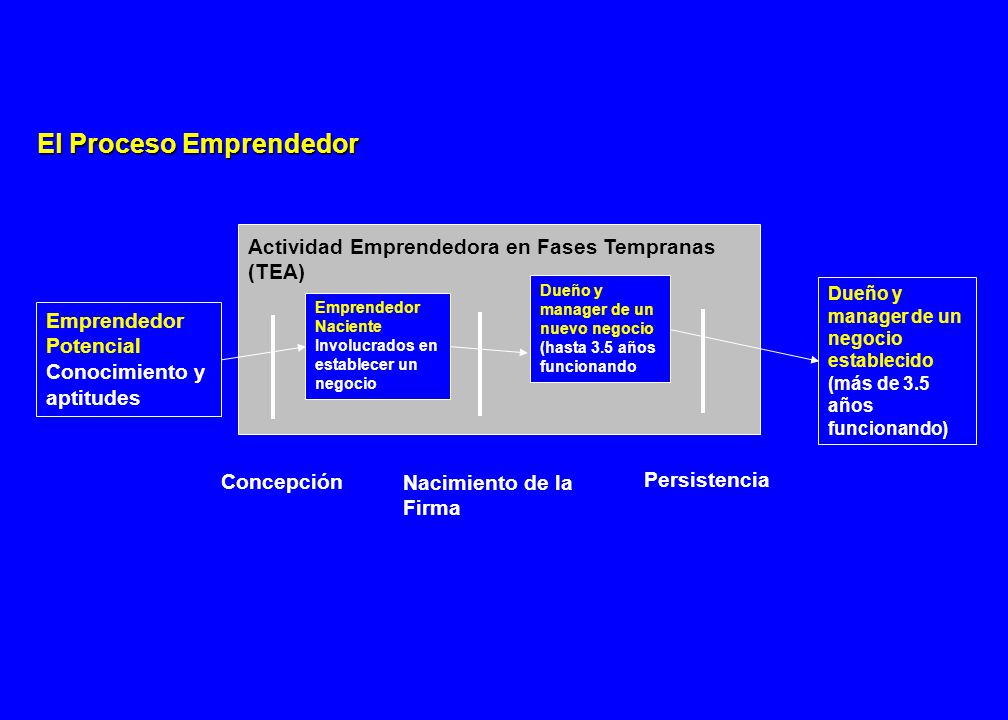 Diferencias en la Actividad Emprendedora entre los Diferentes Países