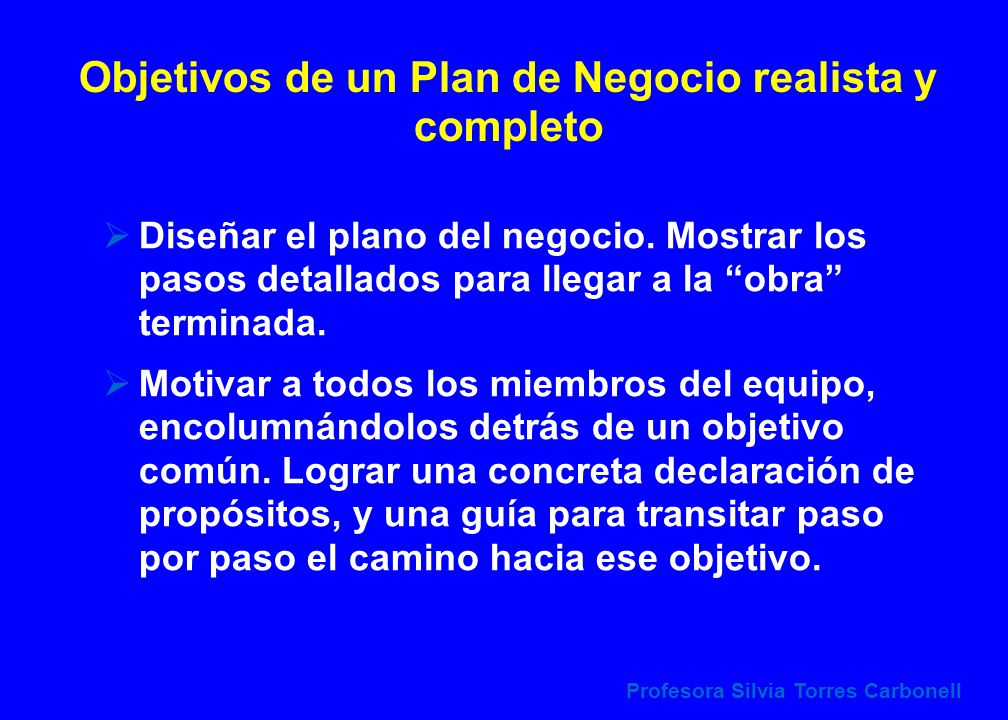 Objetivos de un Plan de Negocio realista y completo (cont.)