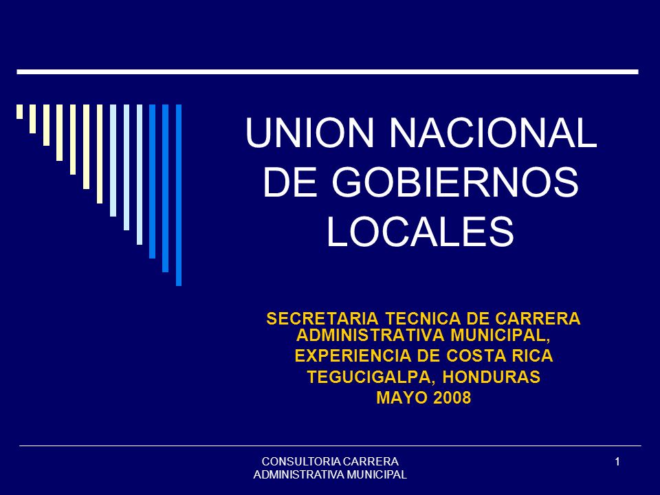 UNION NACIONAL DE GOBIERNOS LOCALES