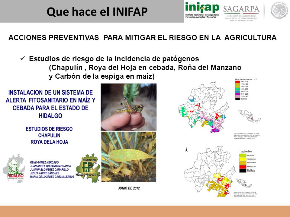 Que hace el INIFAP ACCIONES PREVENTIVAS PARA MITIGAR EL RIESGO EN LA AGRICULTURA. Estudios de riesgo de la incidencia de patógenos.