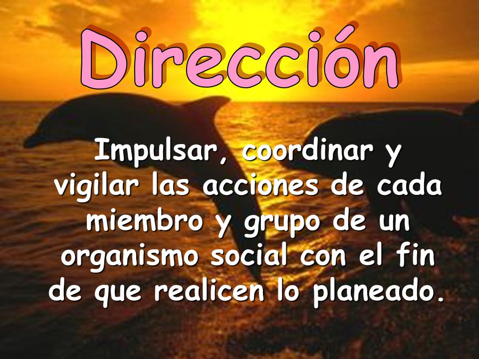 Dirección Impulsar, coordinar y vigilar las acciones de cada miembro y grupo de un organismo social con el fin de que realicen lo planeado.
