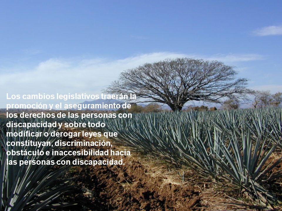 Los cambios legislativos traerán la promoción y el aseguramiento de los derechos de las personas con discapacidad y sobre todo modificar o derogar leyes que constituyan, discriminación, obstáculo e inaccesibilidad hacia las personas con discapacidad.