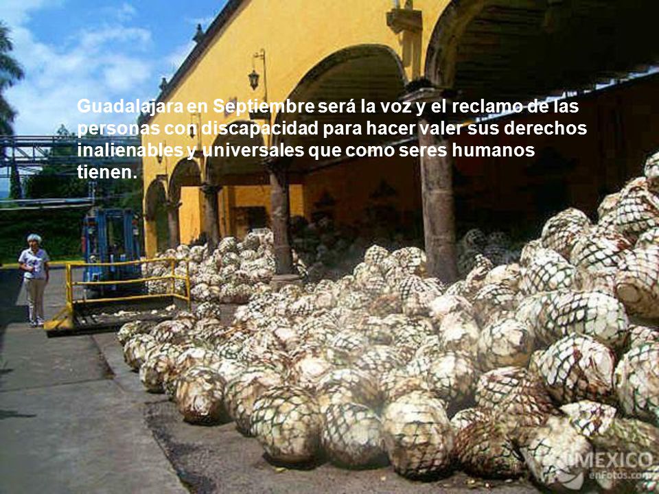 Guadalajara en Septiembre será la voz y el reclamo de las personas con discapacidad para hacer valer sus derechos inalienables y universales que como seres humanos tienen.