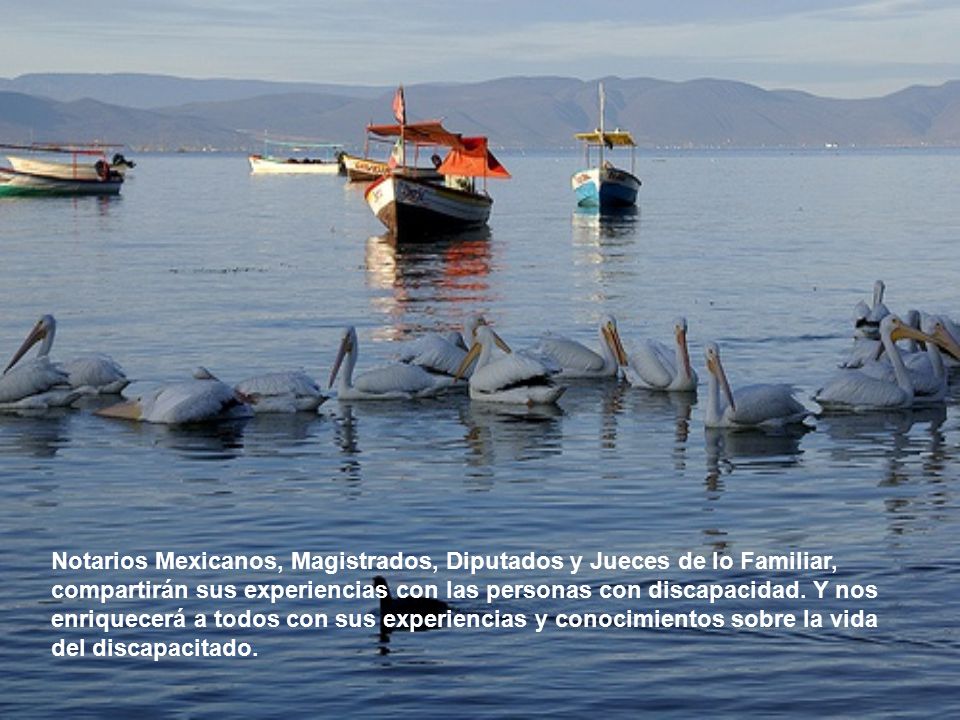 Notarios Mexicanos, Magistrados, Diputados y Jueces de lo Familiar, compartirán sus experiencias con las personas con discapacidad.