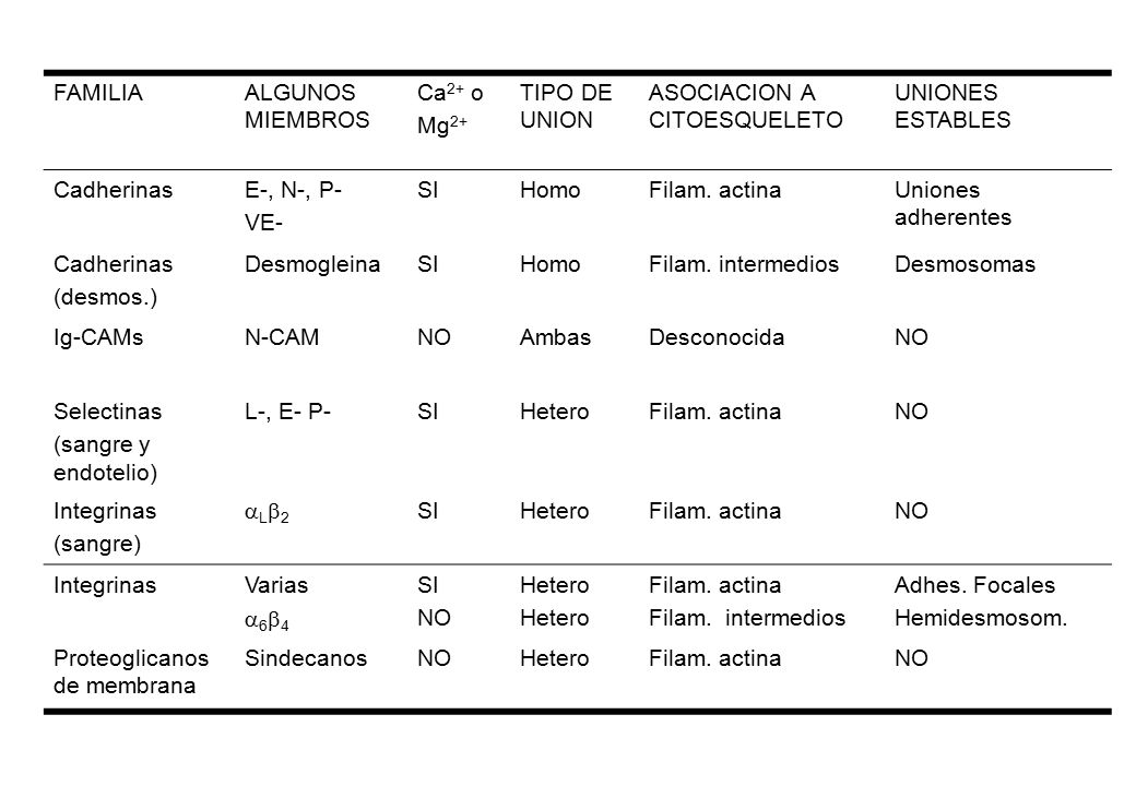 FAMILIA ALGUNOS MIEMBROS. Ca2+ o. Mg2+ TIPO DE UNION. ASOCIACION A CITOESQUELETO. UNIONES ESTABLES.