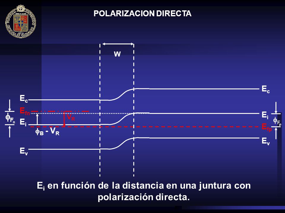 Ei en función de la distancia en una juntura con polarización directa.