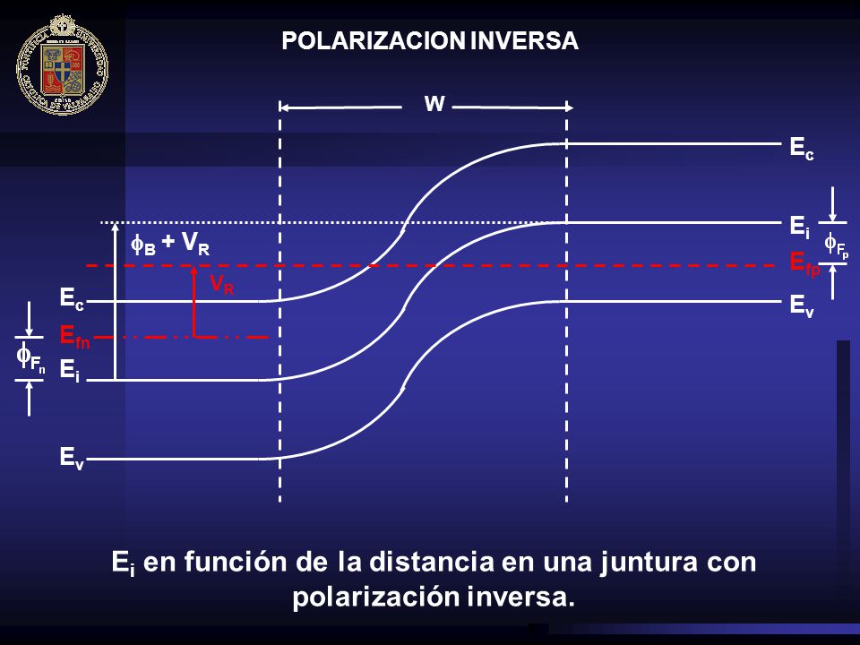 Ei en función de la distancia en una juntura con polarización inversa.