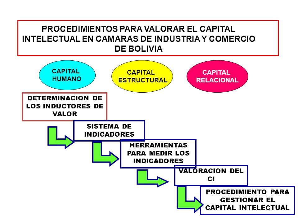 PROCEDIMIENTOS PARA VALORAR EL CAPITAL INTELECTUAL EN CAMARAS DE INDUSTRIA Y COMERCIO DE BOLIVIA