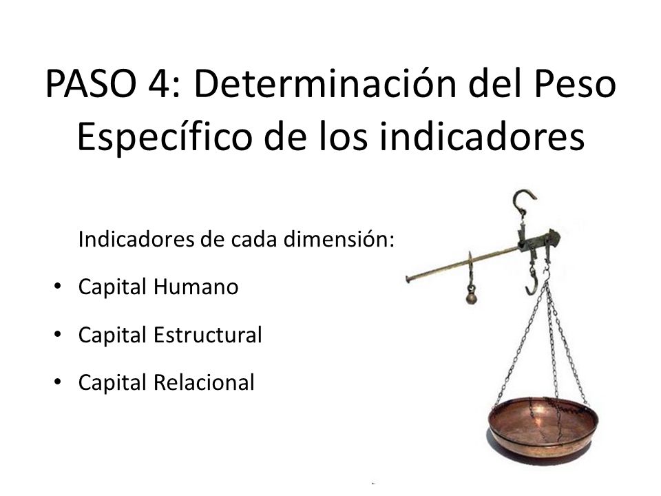 PASO 4: Determinación del Peso Específico de los indicadores