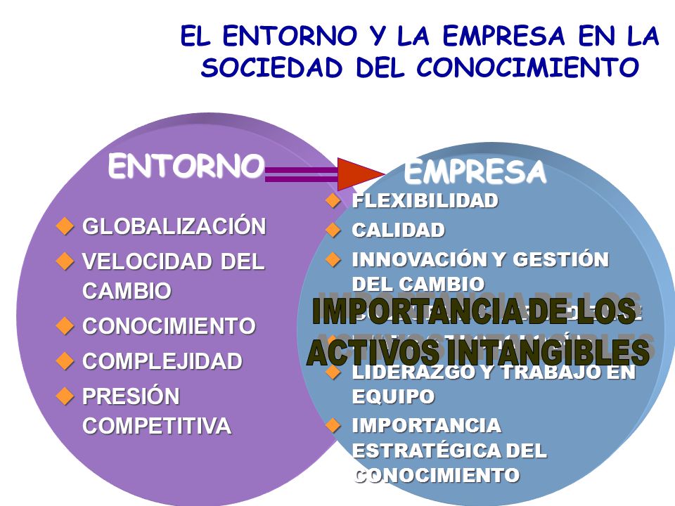 EL ENTORNO Y LA EMPRESA EN LA SOCIEDAD DEL CONOCIMIENTO