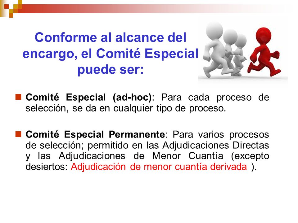 Conforme al alcance del encargo, el Comité Especial puede ser: