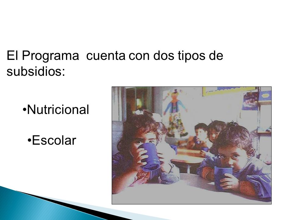 El Programa cuenta con dos tipos de subsidios: