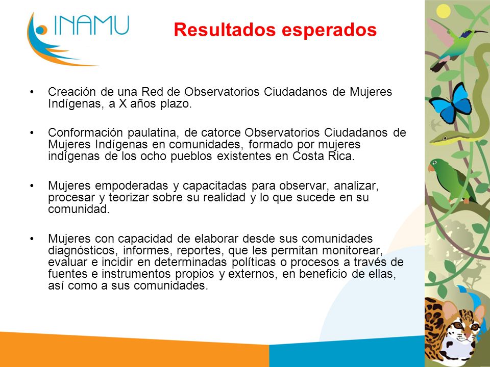Resultados esperados Creación de una Red de Observatorios Ciudadanos de Mujeres Indígenas, a X años plazo.