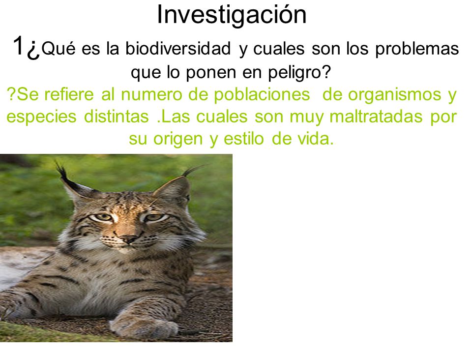 Investigación 1¿Qué es la biodiversidad y cuales son los problemas que lo ponen en peligro.
