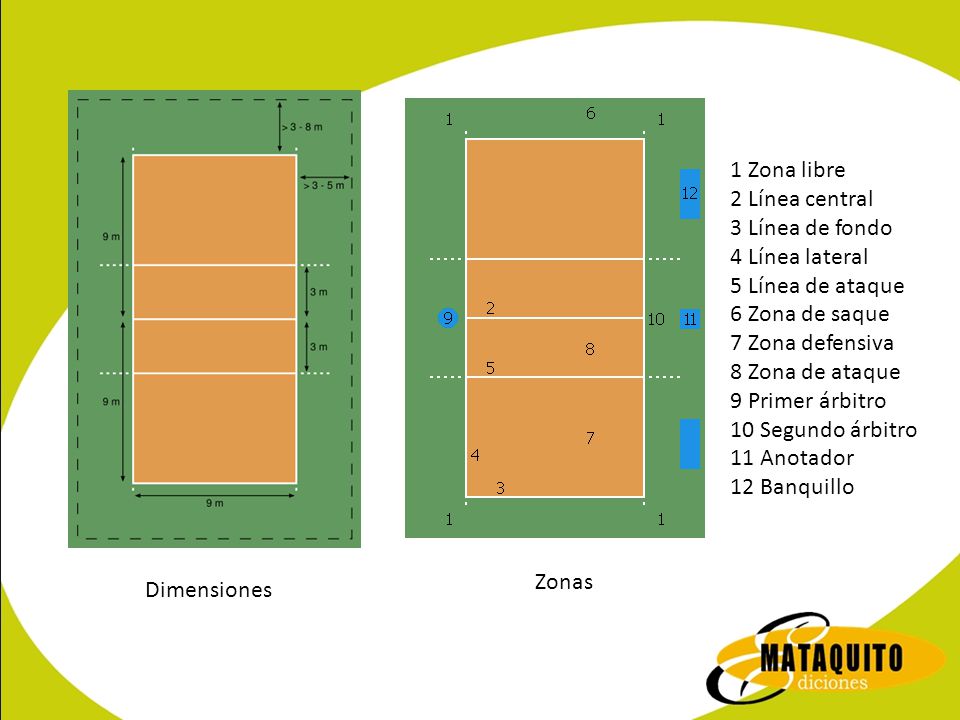 1 Zona libre 2 Línea central. 3 Línea de fondo. 4 Línea lateral. 5 Línea de ataque. 6 Zona de saque.
