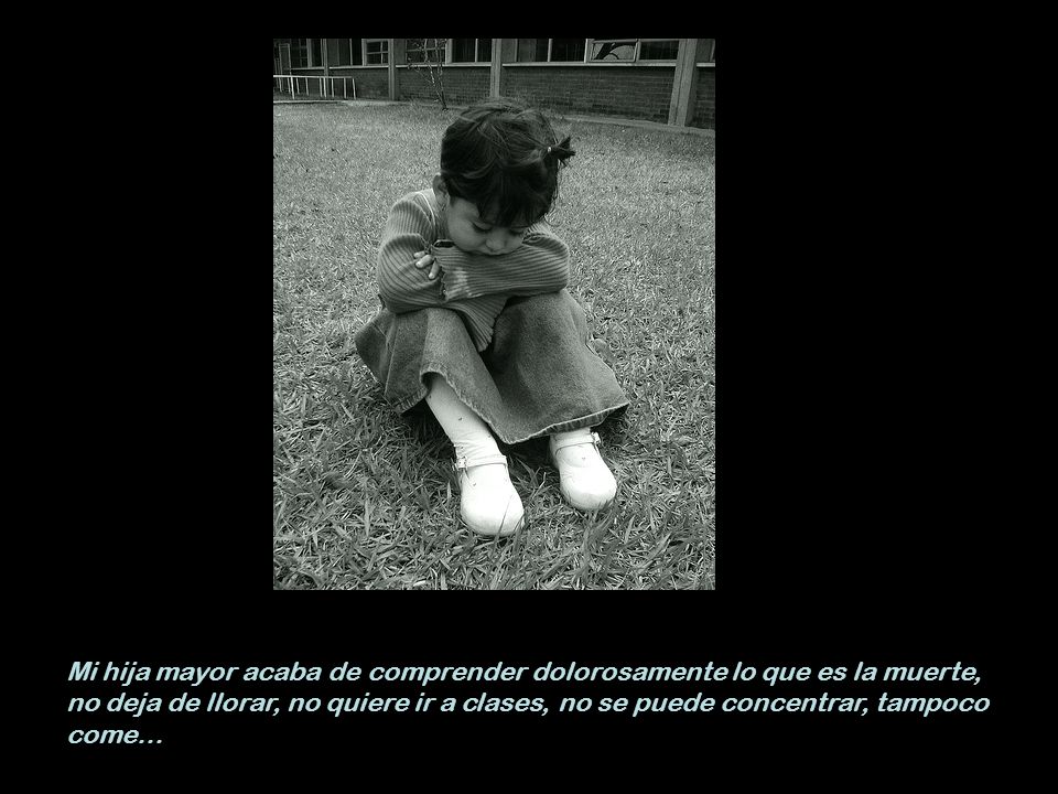 Mi hija mayor acaba de comprender dolorosamente lo que es la muerte, no deja de llorar, no quiere ir a clases, no se puede concentrar, tampoco come…