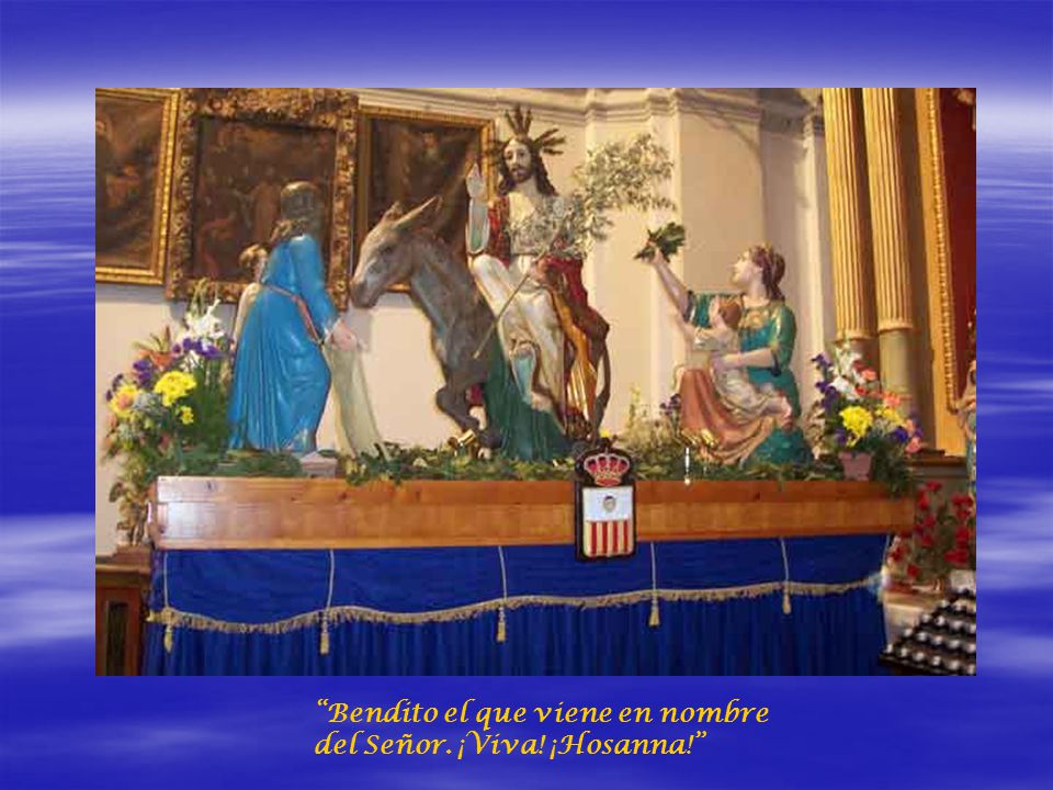 Bendito el que viene en nombre del Señor. ¡Viva! ¡Hosanna!