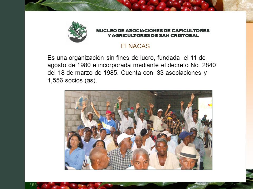 NUCLEO DE ASOCIACIONES DE CAFICULTORES Y AGRICULTORES DE SAN CRISTOBAL