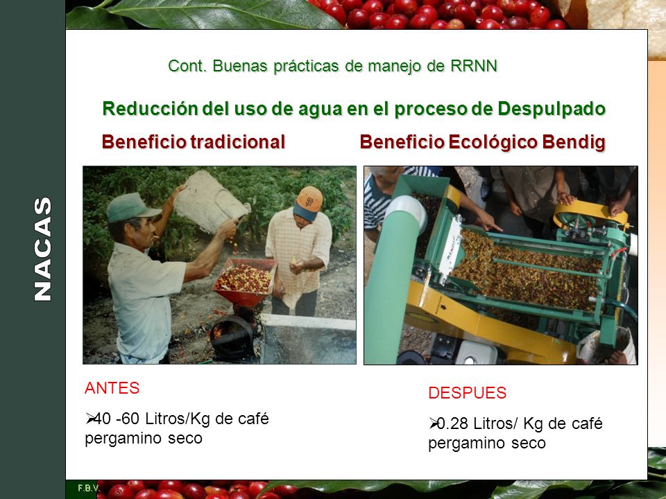 Reducción del uso de agua en el proceso de Despulpado