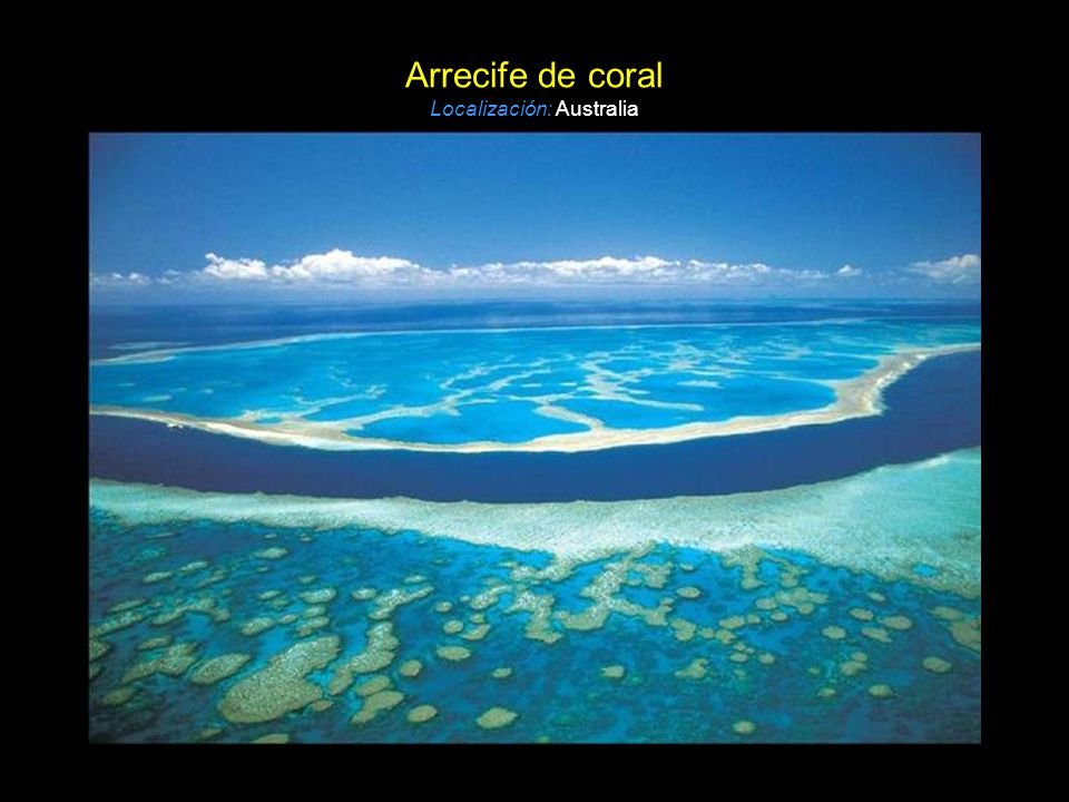 Arrecife de coral Localización: Australia