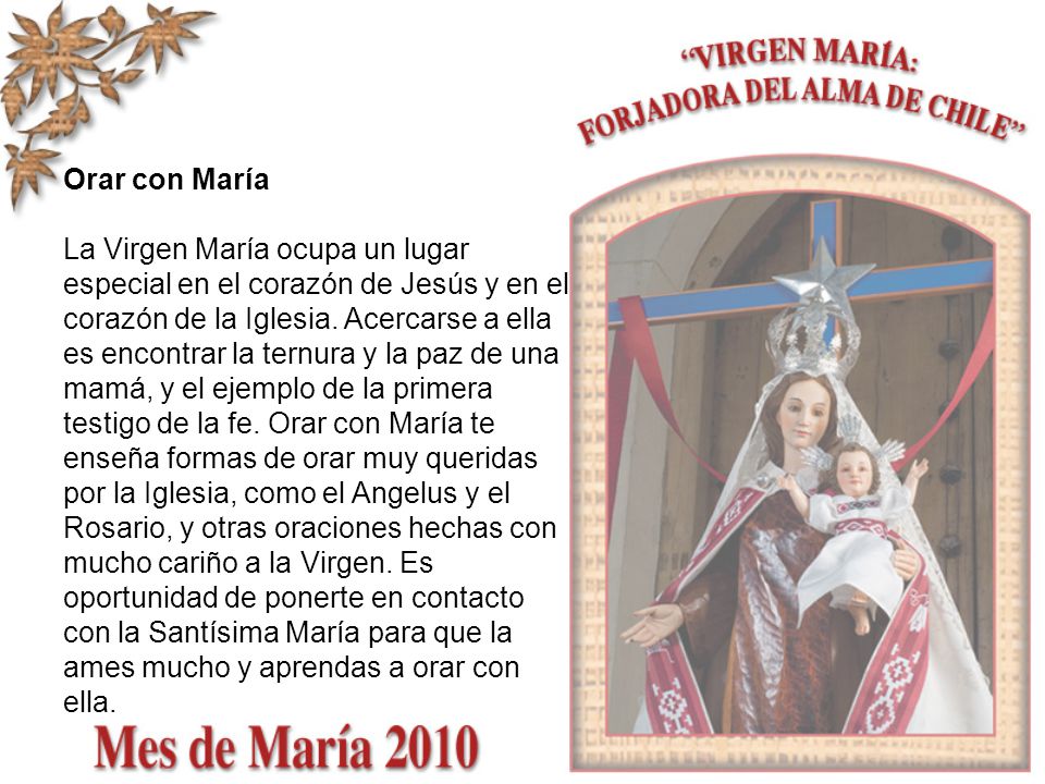 Orar con María La Virgen María ocupa un lugar especial en el corazón de Jesús y en el corazón de la Iglesia.