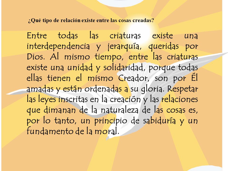¿Qué tipo de relación existe entre las cosas creadas