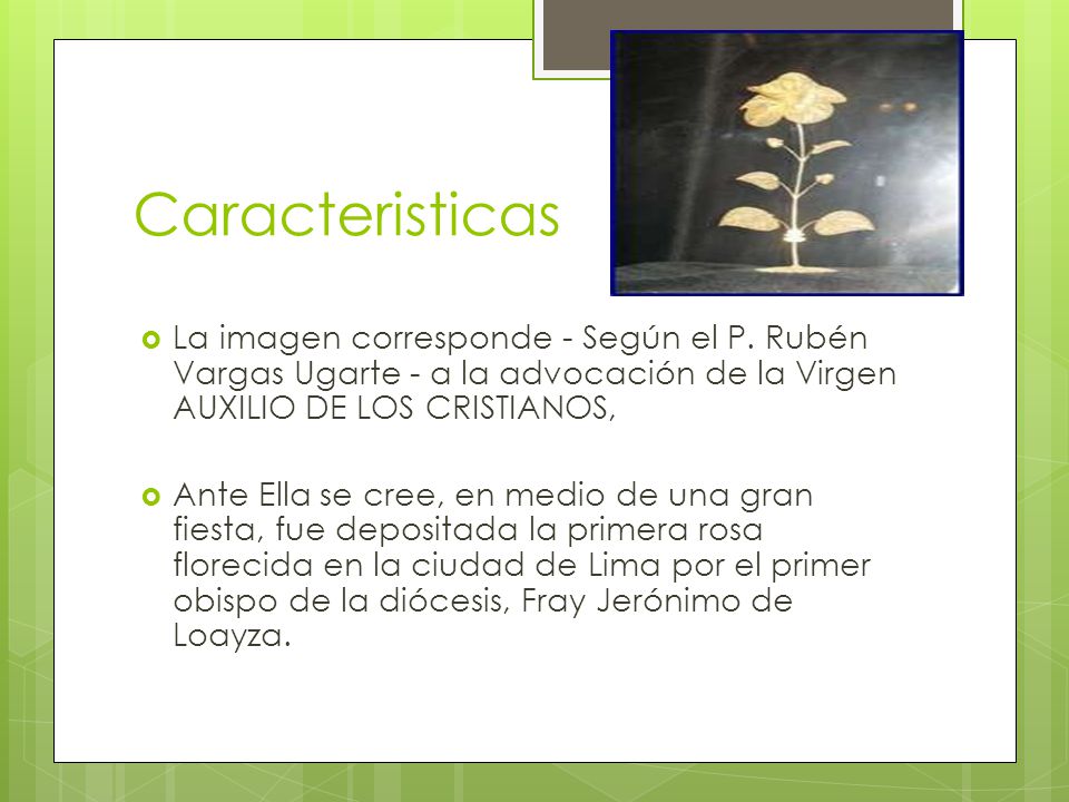 Caracteristicas La imagen corresponde - Según el P. Rubén Vargas Ugarte - a la advocación de la Virgen AUXILIO DE LOS CRISTIANOS,