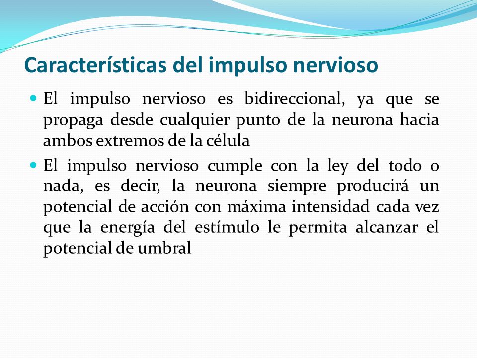 Características del impulso nervioso