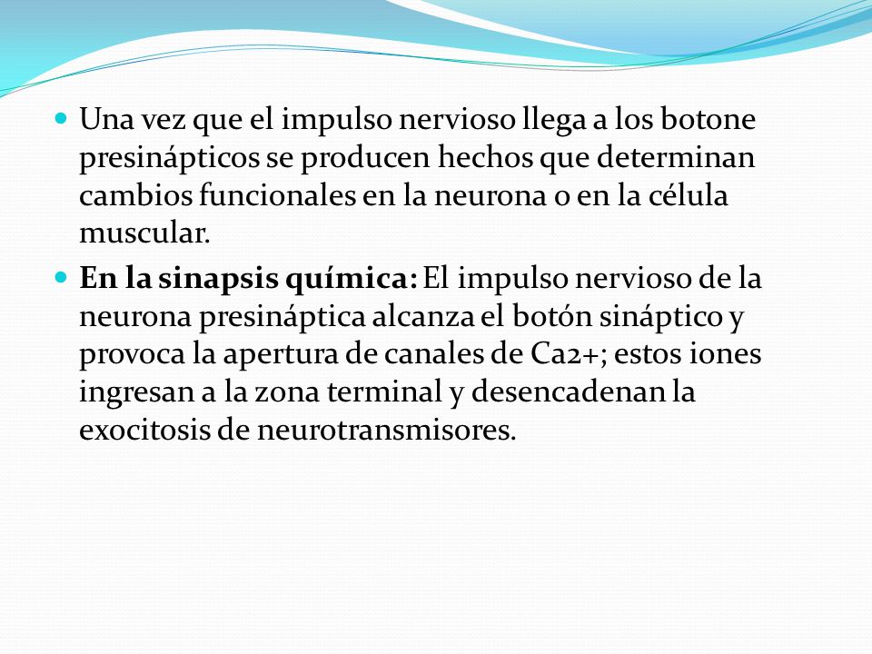 Una vez que el impulso nervioso llega a los botone presinápticos se producen hechos que determinan cambios funcionales en la neurona o en la célula muscular.