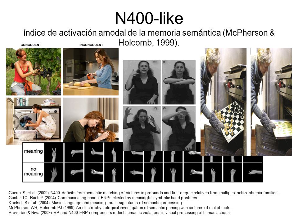 N400-like índice de activación amodal de la memoria semántica (McPherson & Holcomb, 1999).