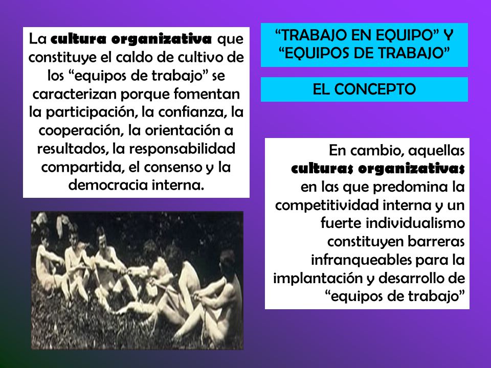 La cultura organizativa que constituye el caldo de cultivo de los equipos de trabajo se caracterizan porque fomentan la participación, la confianza, la cooperación, la orientación a resultados, la responsabilidad compartida, el consenso y la democracia interna.